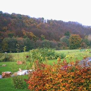 05.jardin automne.