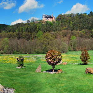 06.jardin printemps