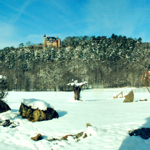 08.Panorama jardin