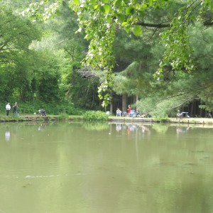 Foyeuru6