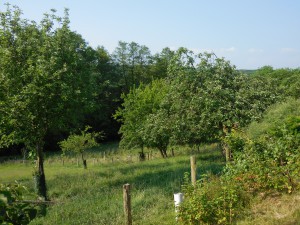 Le Ru du Passage18