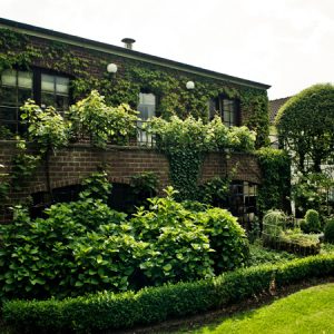 image-17