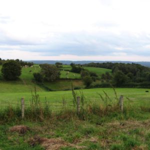 Paysage Surister