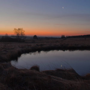Fagnes Avril