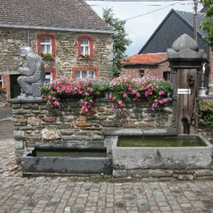 place sart11