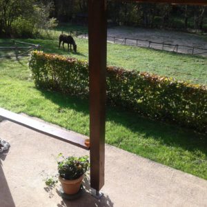 jardin 2