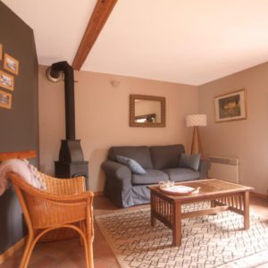 salon avec foyer