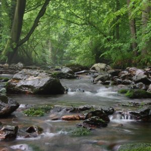 tourisme-jalhay-sart-la-hoegne