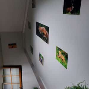 Gite entrée 2