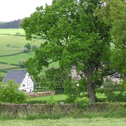 Office du Tourisme de Jalhay-Sart - Photo de village